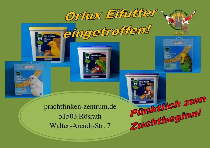 Prachtfinken- und Koi-Zentrum Köln - Styropor-Box mini (geeignet