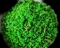 Vegetable Dream - Gemse - Patee   1000 ml   NEU!