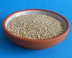 Quinoa - Saat  1000 gr. aus Peru  hochkeimfÃ¤hig