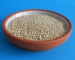 Quinoa - Saat    2000 gr.  aus Peru hochkeimfÃ¤hig