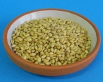 Weizen Bio - Qualität keimfähg  4000 gr.